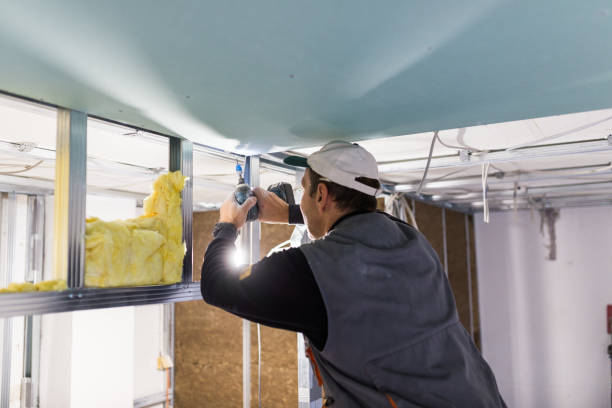 Best Specialized Insulation Services in Cottonport, LA