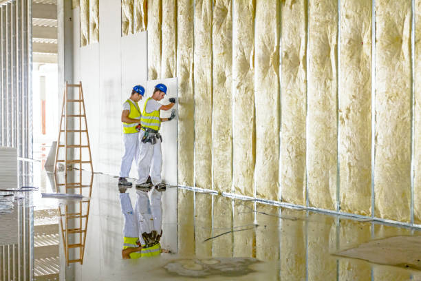Best DIY Insulation Kits and Guidance in Cottonport, LA